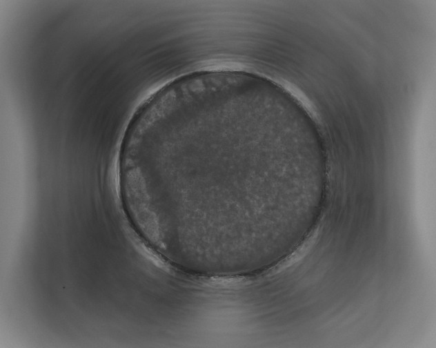 X0000111860840200908201256