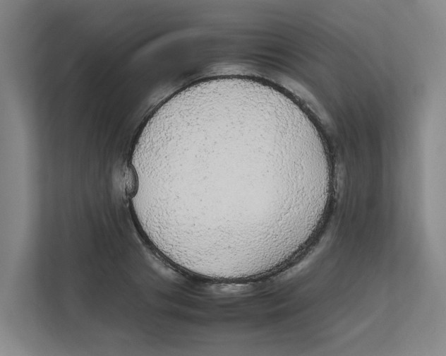 X0000111860841200908201256