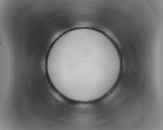 X0000111860842200908201256
