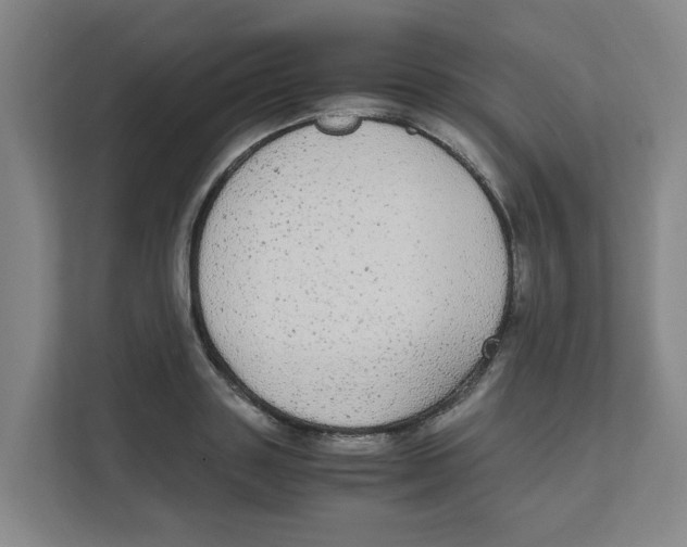 X0000111860843200908201256