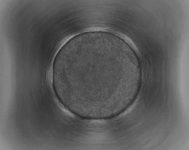 X0000111860844200908201256