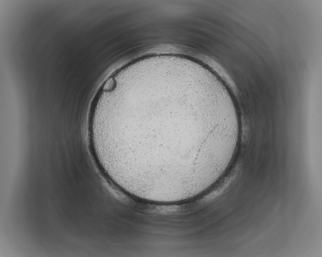 X0000111860845200908201256