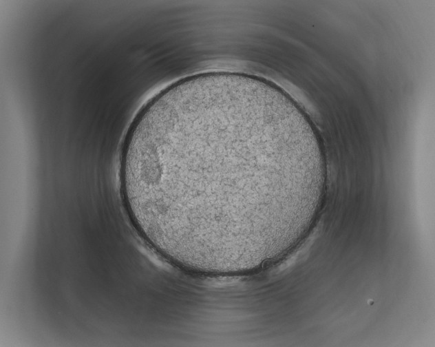 X0000111860846200908201256