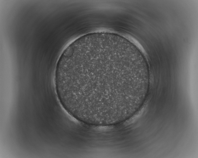 X0000111860847200908201256