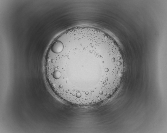 X0000111860848200908201256