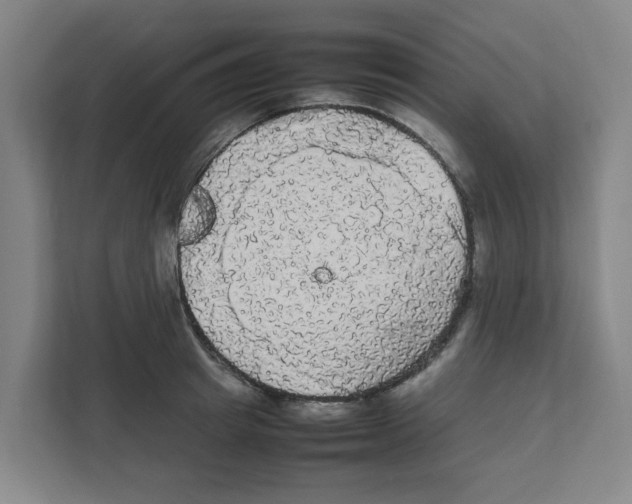 X0000111860849200908201256