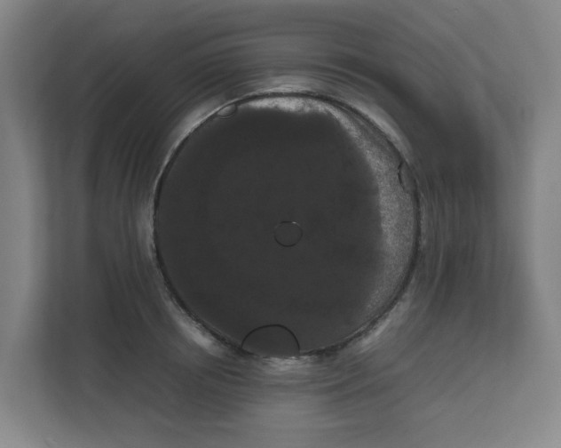 X0000111860850200908201256