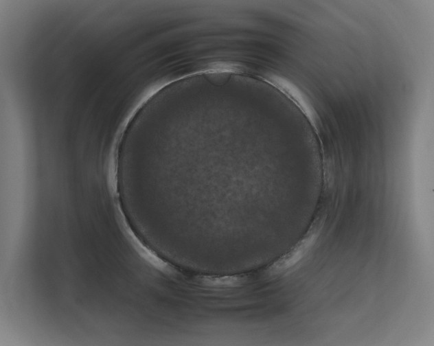 X0000111860851200908201256