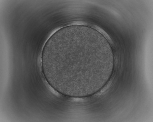 X0000111860852200908201256
