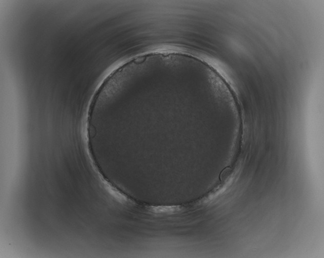 X0000111860853200908201256