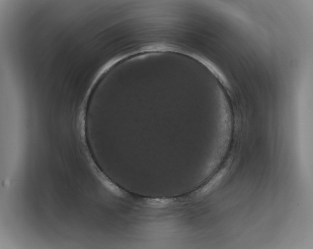 X0000111860854200908201256