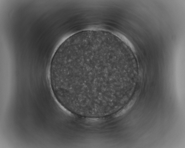 X0000111860855200908201256