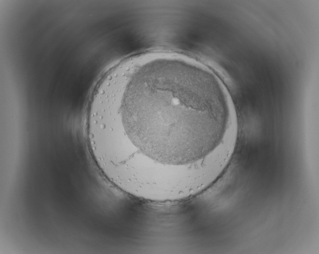 X0000111860856200908201256