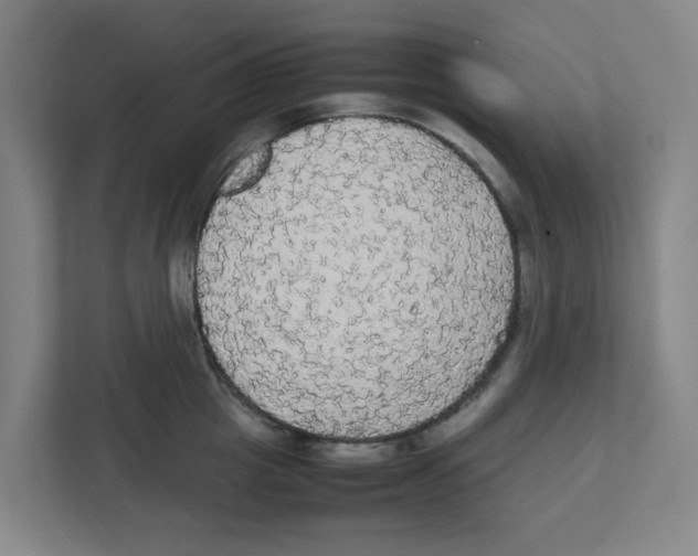 X0000111860857200908201256