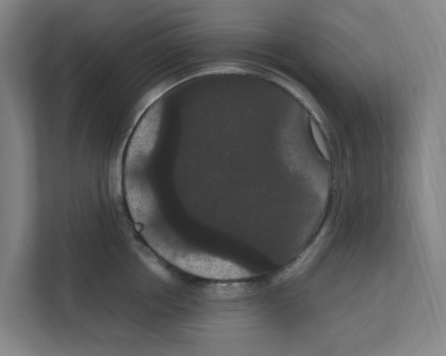 X0000111860858200908201256