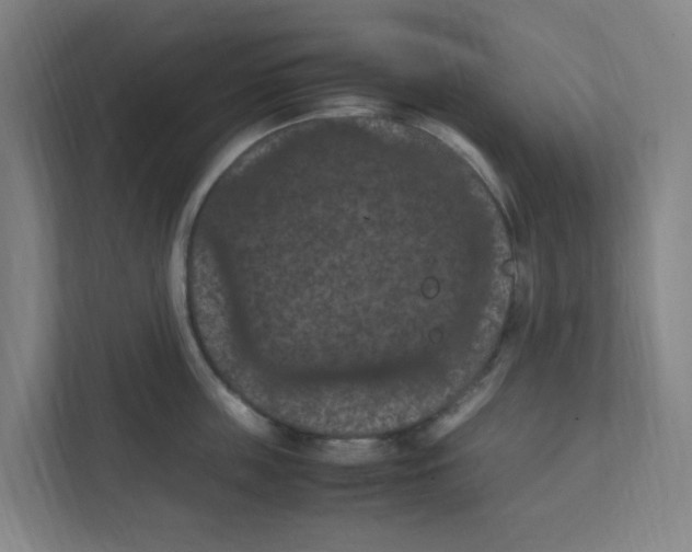 X0000111860859200908201256