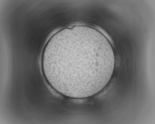 X0000111860861200908201256