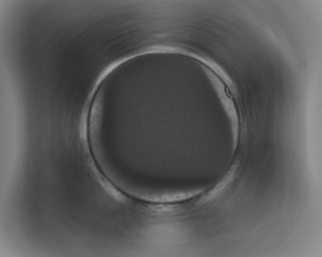 X0000111860862200908201256