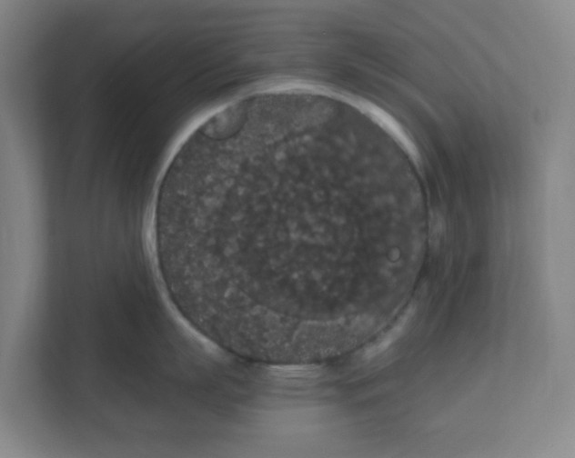 X0000111860863200908201256
