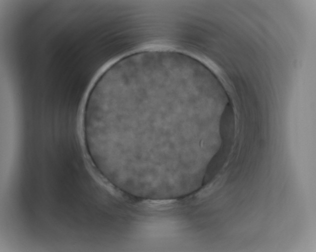 X0000111860864200908201256