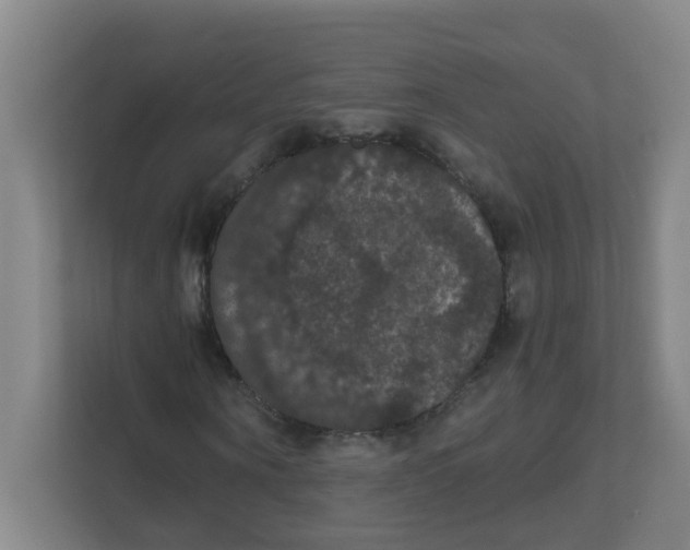 X0000111860866200908201255