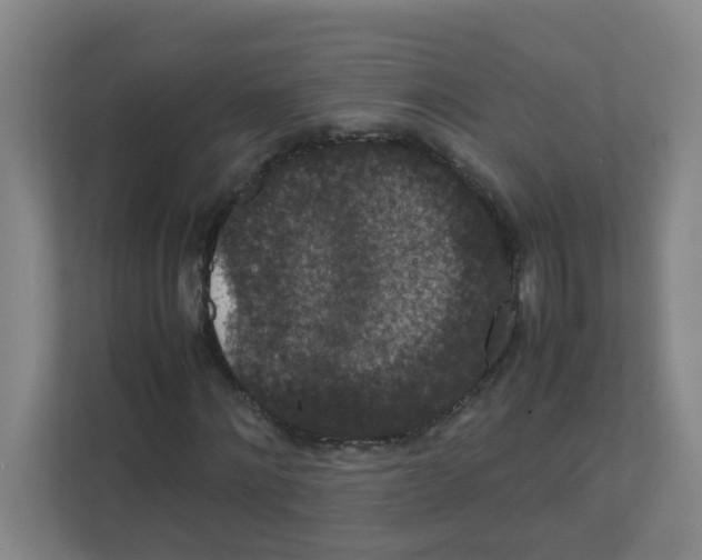 X0000111860868200908201255