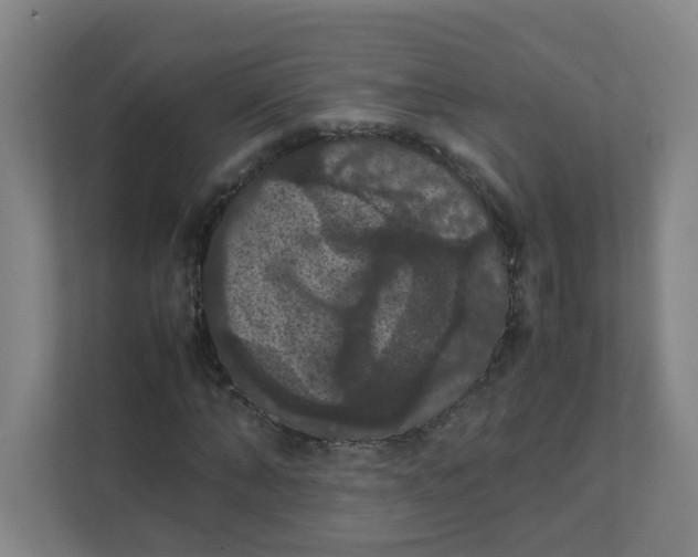 X0000111860870200908201255
