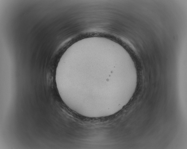 X0000111860872200908201255
