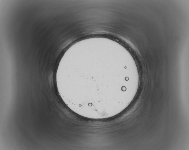 X0000111860873200908201255