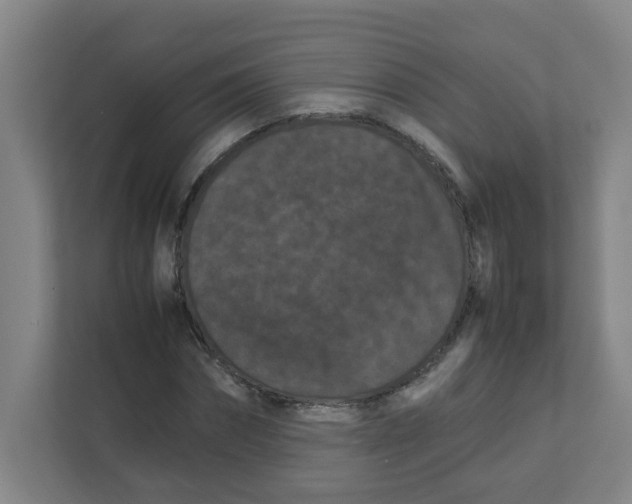 X0000111860874200908201255