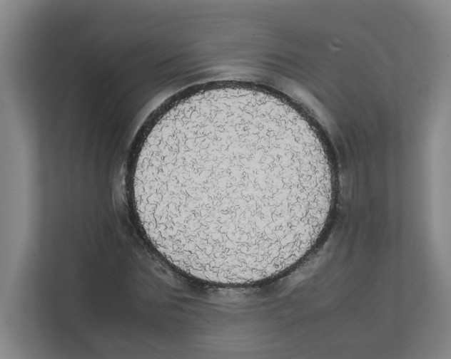 X0000111860875200908201255