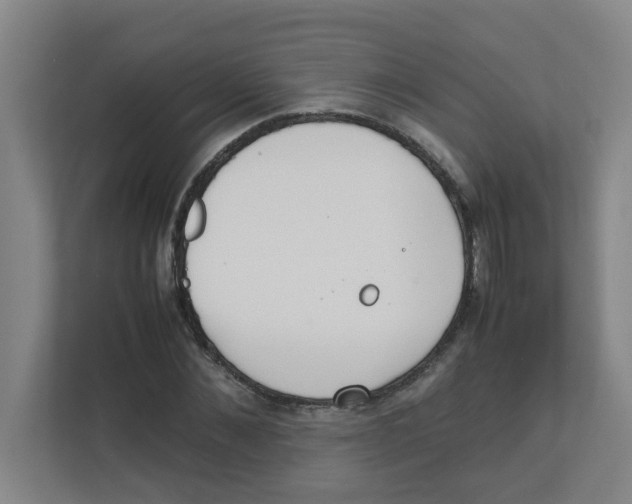 X0000111860876200908201255