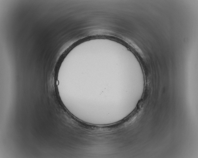 X0000111860877200908201255