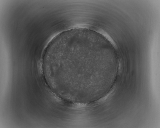 X0000111860878200908201255