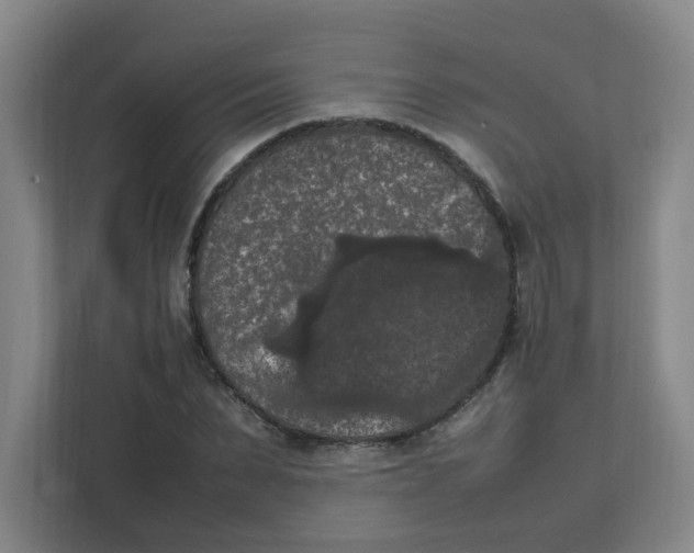 X0000111860879200908201255