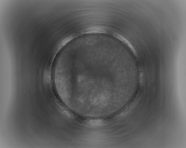 X0000111860882200908201255