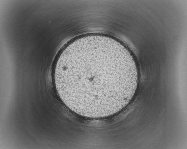 X0000111860883200908201255