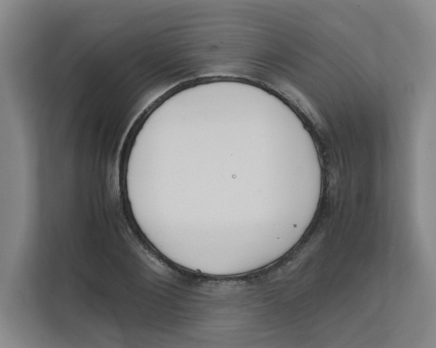 X0000111860884200908201255