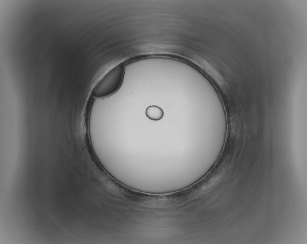 X0000111860885200908201255