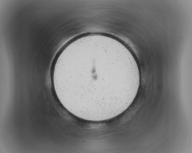 X0000111860887200908201255