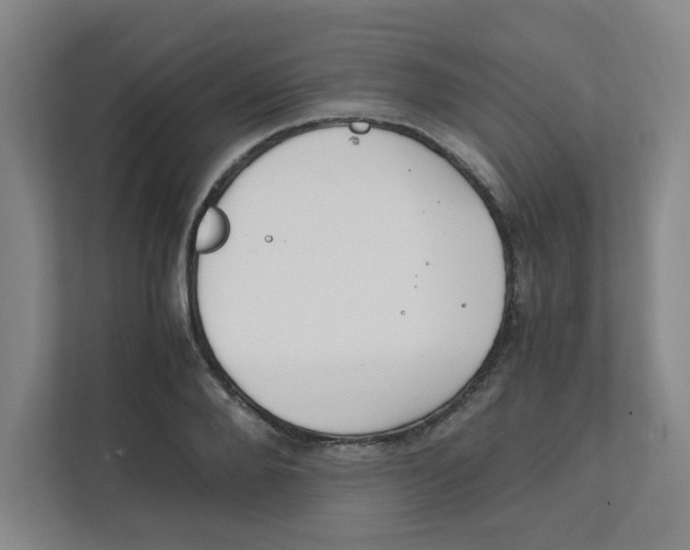X0000111860888200908201255