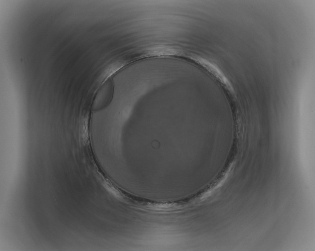 X0000111860889200908201255