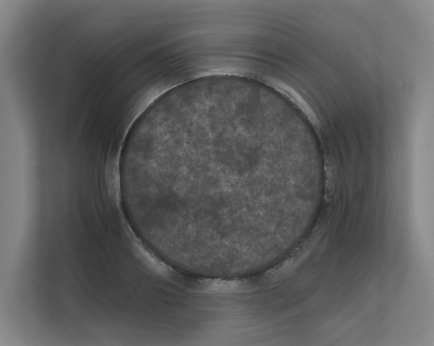 X0000111860890200908201255