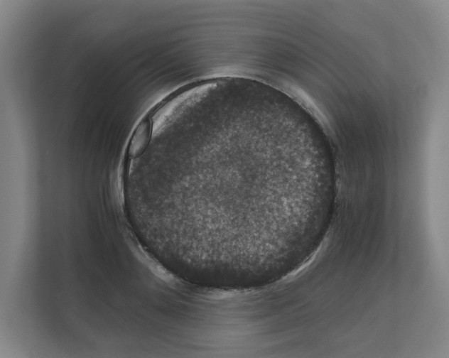 X0000111860892200908201255