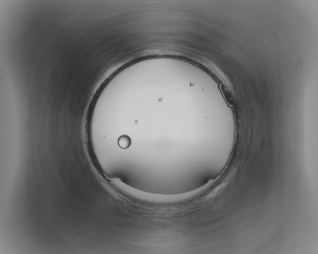 X0000111860893200908201255
