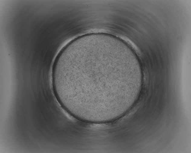 X0000111860894200908201255