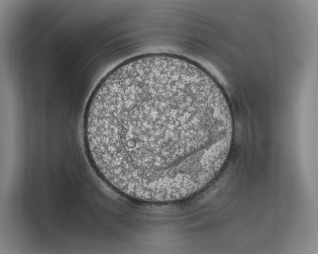 X0000111860895200908201255