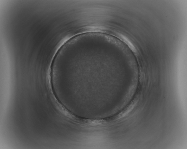 X0000111860899200908201255