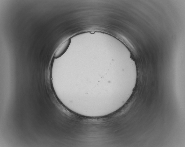 X0000111860900200908201255