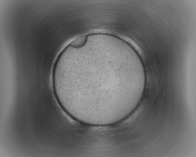 X0000111860902200908201255